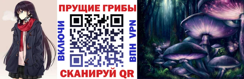 omg зеркало  Бежецк  Галлюциногенные грибы мухоморы 